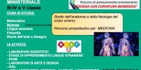 Diapositiva19